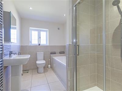 Picture 20